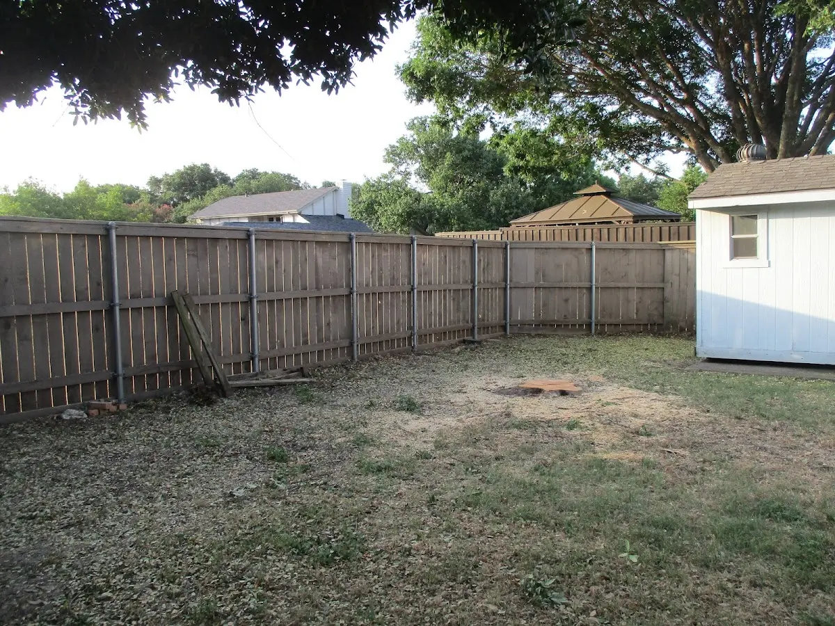 Cleared yard after professional tree removal in Mardela Springs